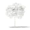 Mango Tree with Fruits 3D Model 1.7m (10542) - Image 6