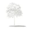 Mango Tree with Fruits 3D Model 1.7m (10542) - Image 8