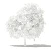 Mango Tree with Fruits 3D Model 2.6m (10544) - Image 6