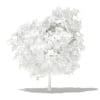 Mango Tree with Fruits 3D Model 2.6m (10544) - Image 8