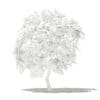 Mango Tree 3D Model 2.7m (10545) - Image 2