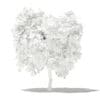 Mango Tree with Fruits 3D Model 2.7m (10546) - Image 8