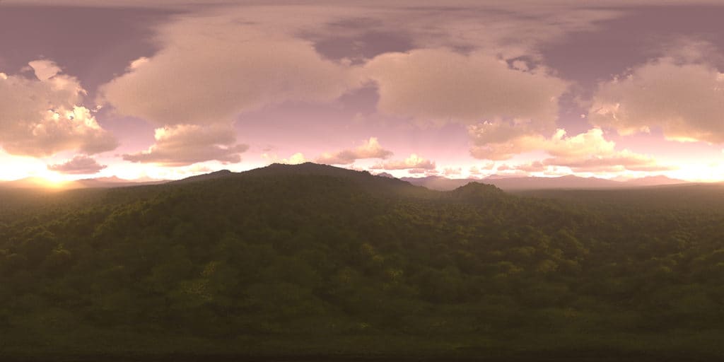 Late Evening Forest HDRI Sky