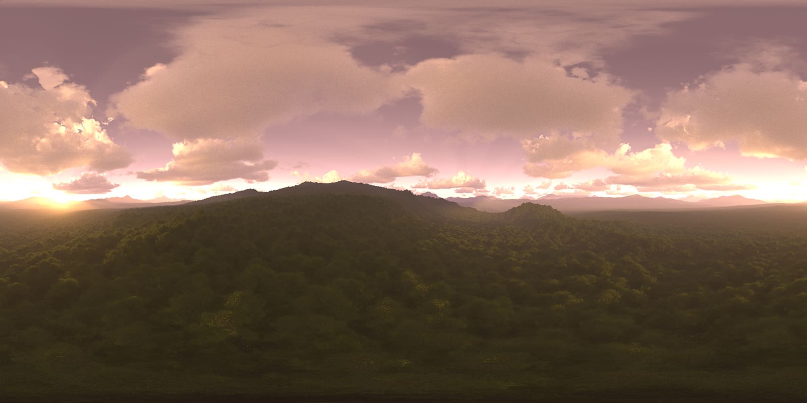 Late Evening Forest HDRI Sky