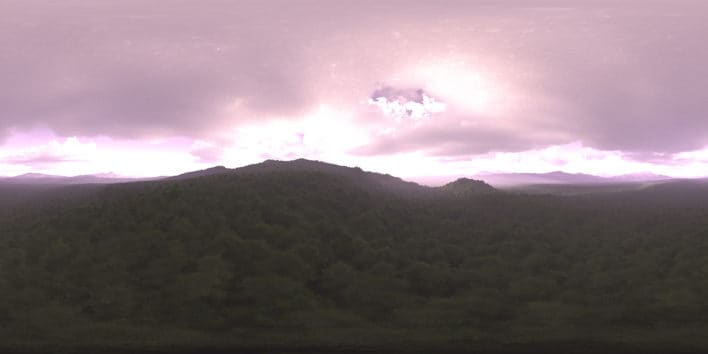 Morning Forest HDRI Sky