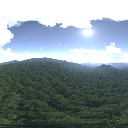 Before Noon Forest HDRI Sky