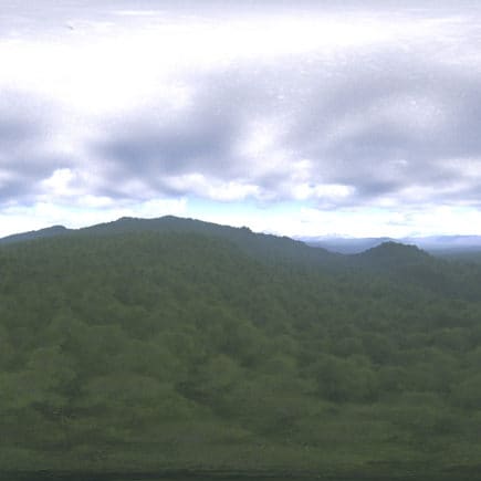 Late Afternoon Forest HDRI Sky