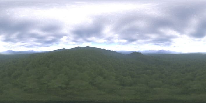 Late Afternoon Forest HDRI Sky