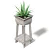 Aloe in Wooden Planter 3D Model (10825) - Image 5