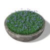 Concrete Planter 3D Model (10836) - Image 5