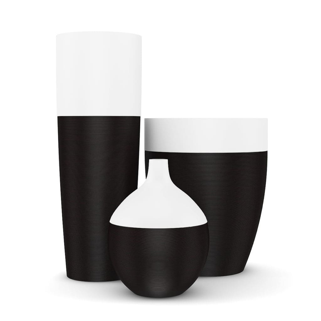 Black and White Vases