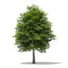 Trees 3D Models Collection - Volume 109 - Image 14