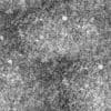 Grey Gravel PBR Texture - Image 4