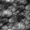 Irregular Stone Pavement PBR Texture - Image 4