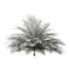 Butia Palm Tree 3D Model 2m (11005) - Image 6