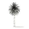 Chilean Wine Palm 3D Model 9.7m (11007) - Image 6