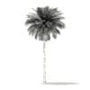 Coconut Palm Tree 3D Model 10.4m (11011) - Image 2