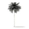 Coconut Palm Tree 3D Model 10.4m (11011) - Image 8