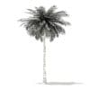 Coconut Palm Tree 3D Model 9m (11012) - Image 8
