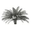 Date Palm Tree 3D Model 2.5m (11020) - Image 2