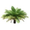 Date Palm Tree 3D Model 2.5m (11020) - Image 3