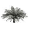 Date Palm Tree 3D Model 2.5m (11020) - Image 4