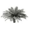 Date Palm Tree 3D Model 2.5m (11020) - Image 8