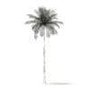 Bottle Palm Tree 3D Model 8m (11021) - Image 2