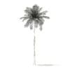 Bottle Palm Tree 3D Model 8m (11021) - Image 6