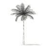 Bottle Palm Tree 3D Model 6.4m (11022) - Image 6