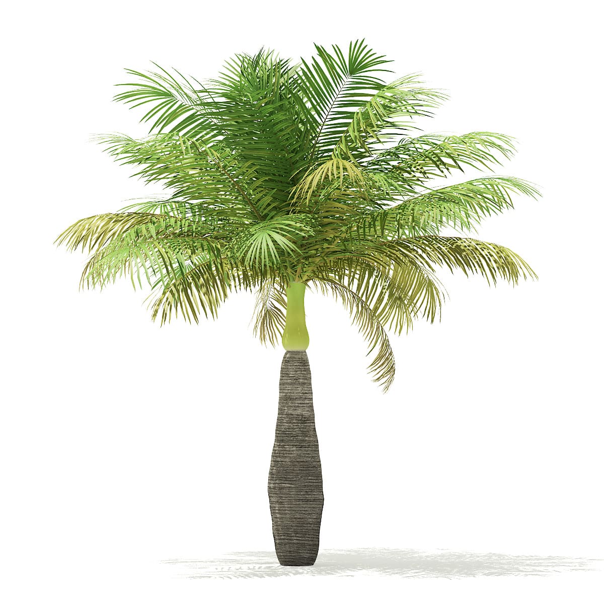beach mountain 3d model palm ree