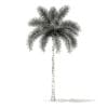 Foxtail Palm Tree 3D Model 7.8m (11026) - Image 2