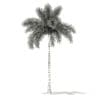 Foxtail Palm Tree 3D Model 7.8m (11026) - Image 4