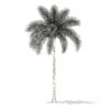 Foxtail Palm Tree 3D Model 7.8m (11026) - Image 6