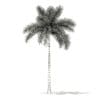 Foxtail Palm Tree 3D Model 7.8m (11026) - Image 8