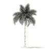 Foxtail Palm Tree 3D Model 9.8m (11028) - Image 8