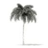 Foxtail Palm Tree 3D Model 7.4m (11029) - Image 8