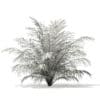 Golden Cane Palm Tree 3D Model 2.3m (11031) - Image 8