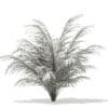 Golden Cane Palm Tree 3D Model 2.5m (11032) - Image 7
