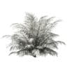 Golden Cane Palm Tree 3D Model 2.7m (11034) - Image 2