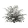 Golden Cane Palm Tree 3D Model 2.7m (11034) - Image 6