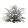 Golden Cane Palm Tree 3D Model 2.7m (11034) - Image 8
