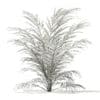 Golden Cane Palm Tree 3D Model 2.1m (1135) - Image 4