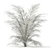 Golden Cane Palm Tree 3D Model 2.1m (1135) - Image 8