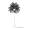 Sabal Palm Tree 3D Model 10.8m (11036) - Image 2