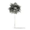 Sabal Palm Tree 3D Model 10.8m (11036) - Image 8
