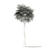 Sabal Palm Tree 3D Model 12m (11039) - Image 2