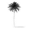 Silver Date Palm Tree 3D Model 10m (11043) - Image 4