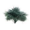 Silver Fan Palm Tree 3D Model 2.6m (11048) - Image 3