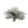 Silver Fan Palm Tree 3D Model 2.6m (11048) - Image 4